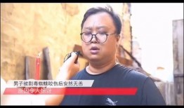 纯属娱乐爆料,揭秘明星幕后故事