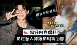 狗仔爆料刘大拿视频完整版,狗仔爆料背后的真相与细节