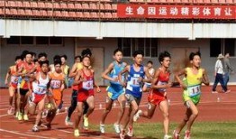 最新体育重大爆料,体育界最新惊天爆料，真相令人震惊！