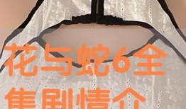 花与蛇6手机在线观看,手机在线观看，激情演绎禁忌之恋