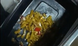 美食爆料视频,揭秘热门爆料视频背后的美味故事
