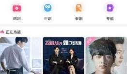 爆料韩国现状视频播放,视频爆料揭示社会热点与民生困境