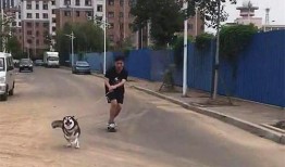 南京爆料二哈暴警视频播放,网络暴力与警民关系的反思