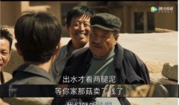 山海情最新爆料,揭秘神秘古墓，探寻千年之谜