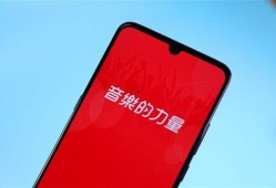 网易云最新爆料,揭秘最新音乐动态与热门歌手幕后故事
