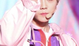 狗仔爆料鹿晗是真的吗视频,视频揭秘背后的真实情况