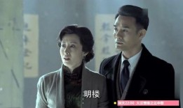 伪装者45集在线观看,揭秘兄弟情仇，揭秘神秘组织