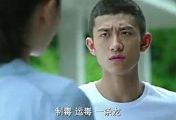 余罪2 在线观看,卧底风云再起，正义与邪恶的较量