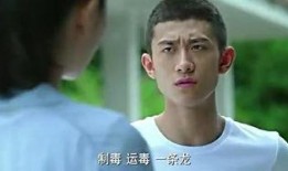 余罪2 在线观看,卧底风云再起，正义与邪恶的较量