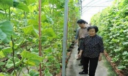 吃瓜最新事件爆料宾馆是真的吗,宾馆事件真相揭秘，是真是假引热议