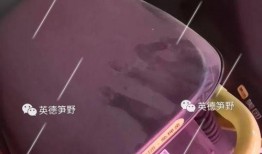 英德小黄车最新爆料,揭秘共享单车市场的风云变幻