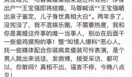 马蓉爆料王宝强陈思诚视频,真相背后引人深思