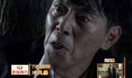 铁血锄奸全集在线观看,揭秘抗战时期锄奸英雄的惊心动魄传奇