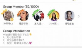 镇平网红吃瓜群微信号是什么,镇平网红吃瓜群微信号背后的神秘世界