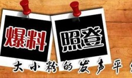 最新普拉达爆料新闻,揭秘品牌新动向与神秘新品