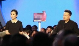 非诚爆料黄磊视频全集在线观看,揭秘明星情感世界，精彩瞬间不容错过