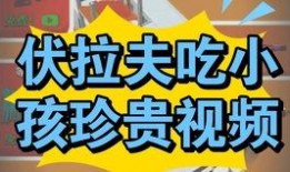 伏拉夫官方爆料视频,全新内容与惊喜等你探索