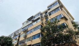 卖狗肉的小姐姐爆料视频,卖狗肉小姐姐爆料视频背后的真相