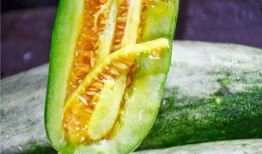 大理网红吃瓜,揭秘网红圈背后的故事与争议