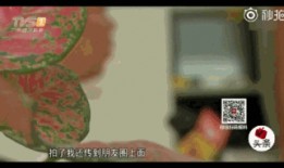 广东今日一线爆料