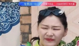 娱乐大瓜爆料成毅,娱乐大瓜背后的真实故事