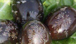 蛋仔派对最新爆料皮蛋教官