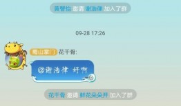 可以吃网红瓜的qq群,网红瓜盛宴，QQ群里的热门话题大盘点