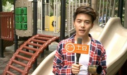 娱乐圈爆料cp最新文,最新CP动态揭秘，甜蜜互动引热议