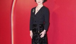 何超琼照片爆料最新,揭秘豪门女强人的时尚魅力与生活点滴