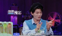 丁禹兮圈内爆料,娱乐圈背后的真实故事