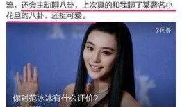 四姐八卦爆料视频大全集,揭秘娱乐圈幕后真相全纪录