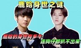 狗仔爆料鹿晗是真的吗视频,视频揭秘背后的真实情况