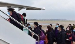 民航机长爆料新闻报道,揭秘航班安全背后的真相