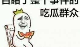 娱乐圈吃瓜沙雕动画,沙雕动画中的吃瓜盛宴，笑料百出！