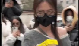 h视频吃瓜爆料,吃瓜爆料背后的真相与内幕