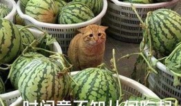 最新吃瓜视频爆料,娱乐圈惊天大事件幕后真相曝光！