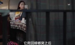 神秘人爆料小六视频大全,小六视频大全背后的惊人真相