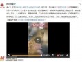 最新跟踪爆料新闻视频,揭秘新闻视频背后的惊人真相