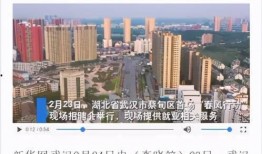 蔡甸媒体爆料新闻最新,敬请关注！