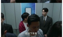 律政新人王在线观看,职场风云，法界新星的崛起之路