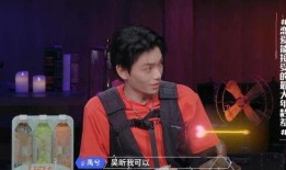 丁禹兮圈内爆料,娱乐圈背后的真实故事