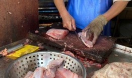 卖狗肉的小姐姐爆料视频,卖狗肉小姐姐爆料视频背后的真相