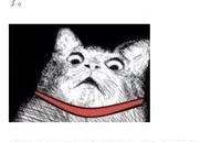 卓伟最新爆料 阿冰,阿冰事件真相揭秘