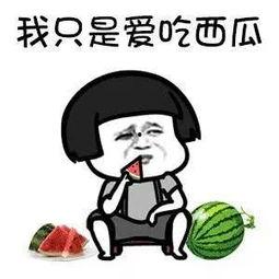 娱乐圈吃瓜有多累